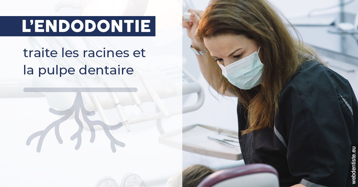 https://dr-estrabol-nicolas.chirurgiens-dentistes.fr/L'endodontie 1