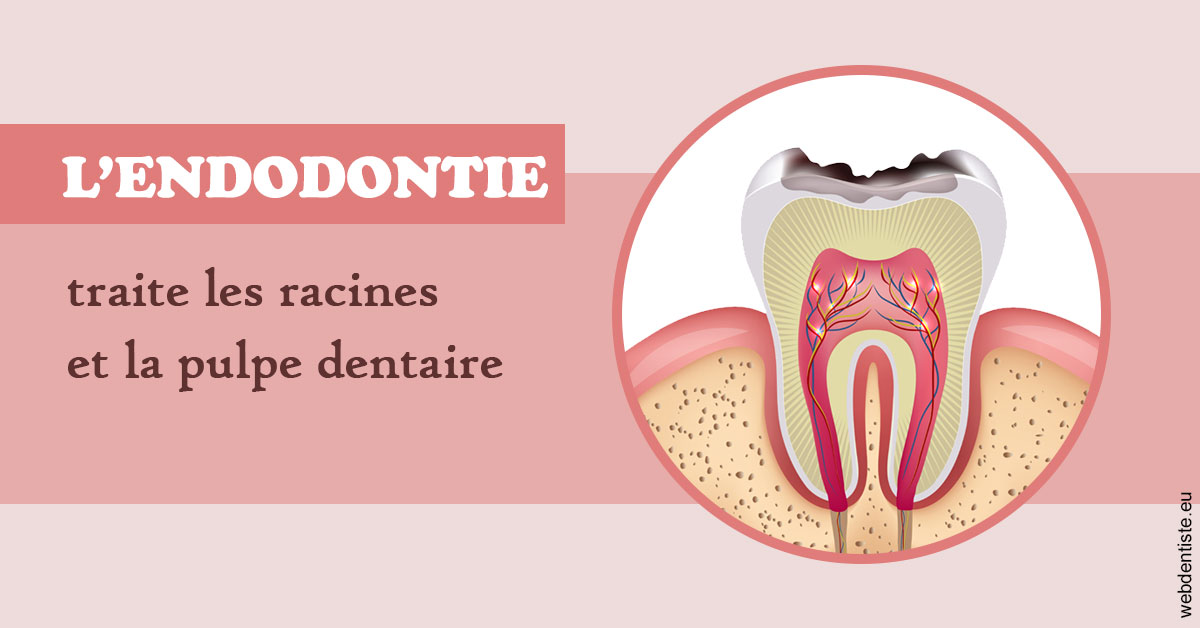 https://dr-estrabol-nicolas.chirurgiens-dentistes.fr/L'endodontie 2