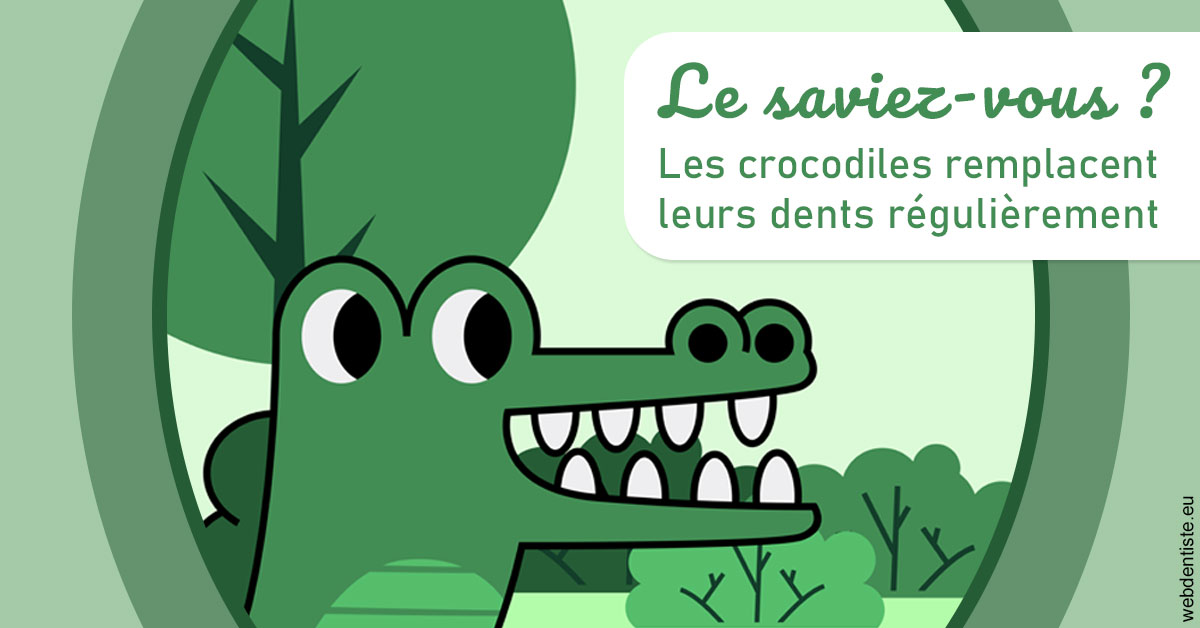 https://dr-estrabol-nicolas.chirurgiens-dentistes.fr/Crocodiles 2