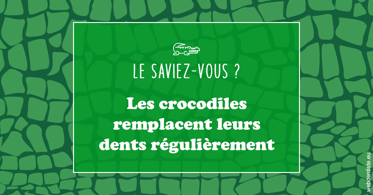 https://dr-estrabol-nicolas.chirurgiens-dentistes.fr/Crocodiles 1
